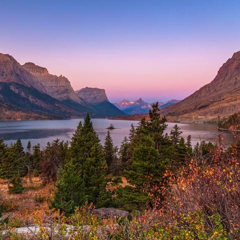 Morning colors of pink and blue mixed with autumn colors of gold and red at the Wild Goose Island view area on St. Mary Lake, Glacier National Park
