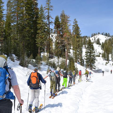 A line of cross-country skiers being led over the snow by a ranger at Lassen Volcanic National Park in California