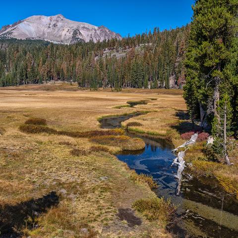 A meandering creek over a meadow of golden grass with a forested hill and Lassen Peak in the background, Lassen Volcanic National Park
