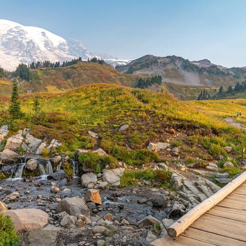 Edith Creek and the footbridge over the creek with Mount Rainier in the background at the Paradise area of Mount Rainier National Park, in Washington state