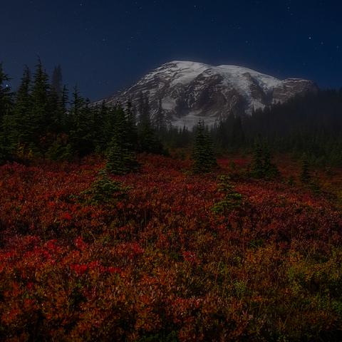 A foreground of brilliant red and orange huckleberry bushes light up by moonlight, with a tall, snowcapped mountain in the background wrapped in a light veil of mist, all  beneath a dark sky dotted with stars, Mount Rainier National Park