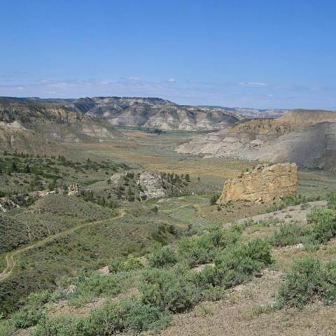 A dirt road winding toward a rock formation within beige-rock badlands at Cow Island Landing, Nez Perce National Historical Park