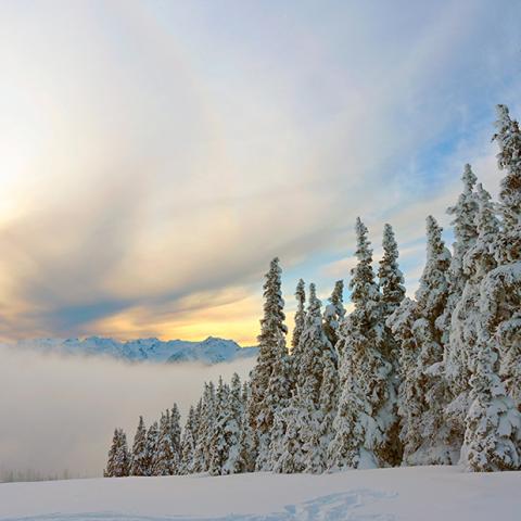 A snowy December day at Hurricane Ridge with the sun trying to shine through the clouds in Olympic National Park, Washington