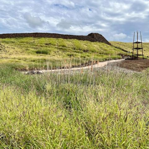 A grassy field with a trail leading to a temple built by a Hawaiian king at Pu'ukohola Heiau National Historic Site 