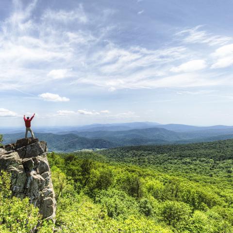 A person with upraised arms standing on a rock outcrop viewing the vast scenery of Shenandoah National Park