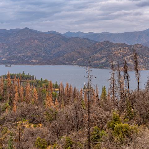 Looking down upon the autumn colors and landscape of Whiskeytown Lake at Whiskeytown National Recreation Area