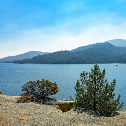 A hazy, sunny view of Whiskeytown Lake, with mountains in the background and a couple of shrubs in the foreground, Whiskeytown National Recreation Area