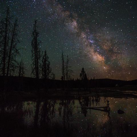 Silhouetted trees reflecting in the water of Firehole Lake with the Milky Way and stars overhead, Yellowstone National Park