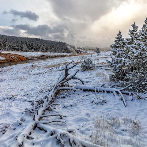 An early autumn morning with snow on the ground and steaming geysers and hot springs in the distance and the Firehole River flowing along at Upper Geyser Basin, Yellowstone National Park
