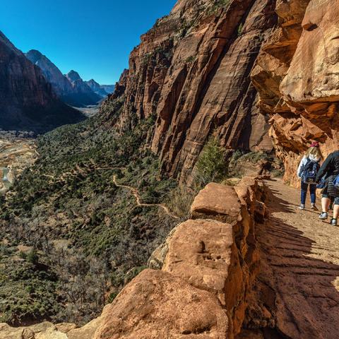 A wide-angle shot of hikers heading down the Angels Landing Trail in Zion National Park, Utah