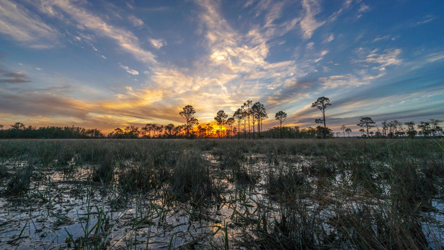 Sunsets at Big Cypress are worth waiting for/NPS