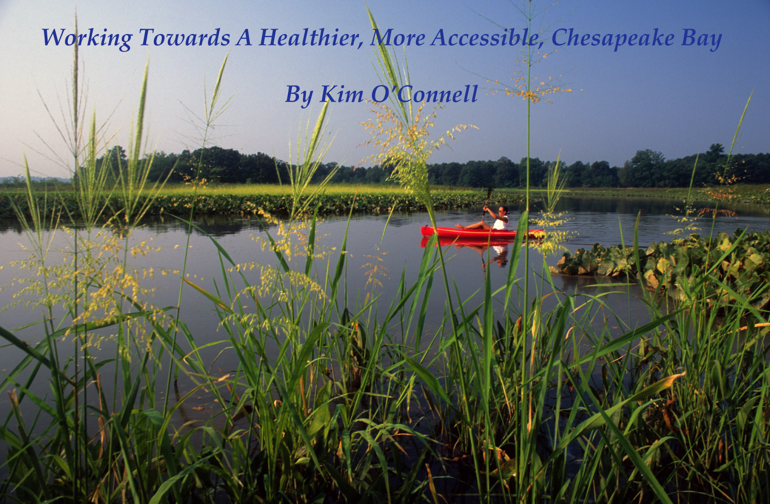Partners Working Towards A Healthier, More Accessible Chesapeake Bay