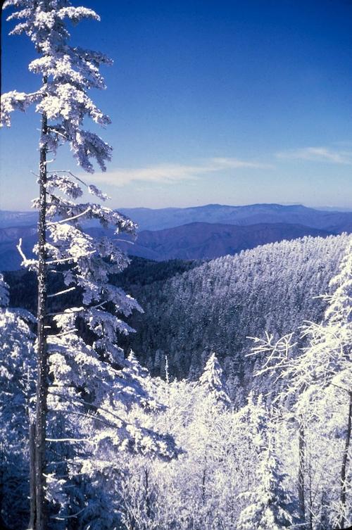Some great snowshoeing can be found at Great Smoky Mountains National Park after a good snowfall/NPS