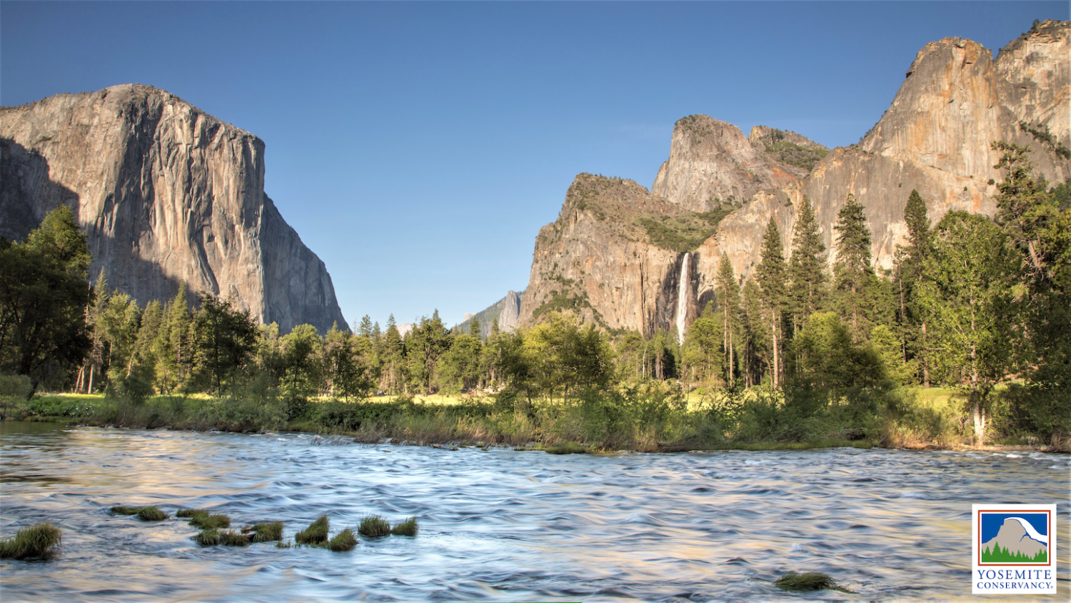 Help the Yosemite Conservancy help Yosemite National Park
