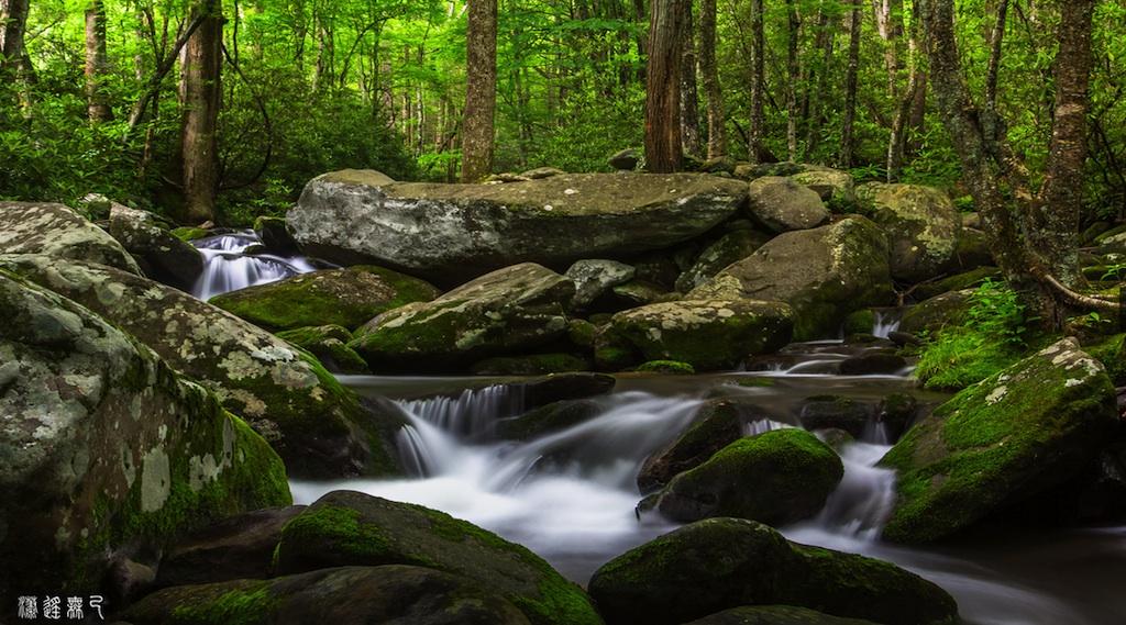 Great Smoky Mountains National Park, copyright Felix Li