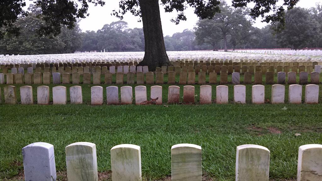 A fawn rests against headstones at the rear of section H in the national cemetery, Andersonville National Historic Site
