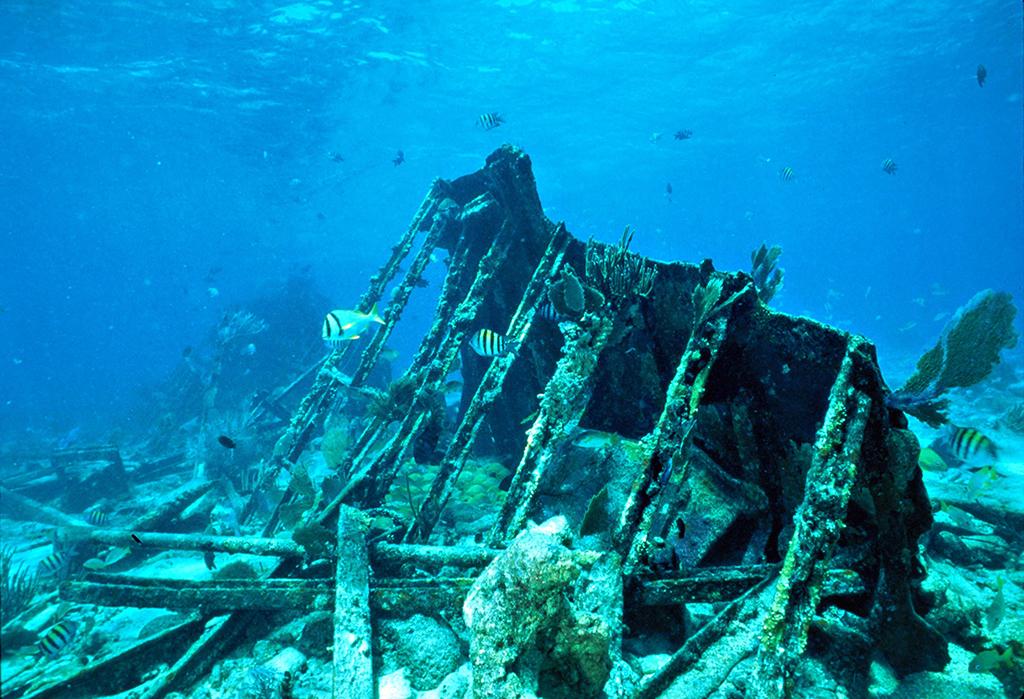 The skeleton of the shipwrecked schooner Mandalay beneath the blue water of Biscayne National Park