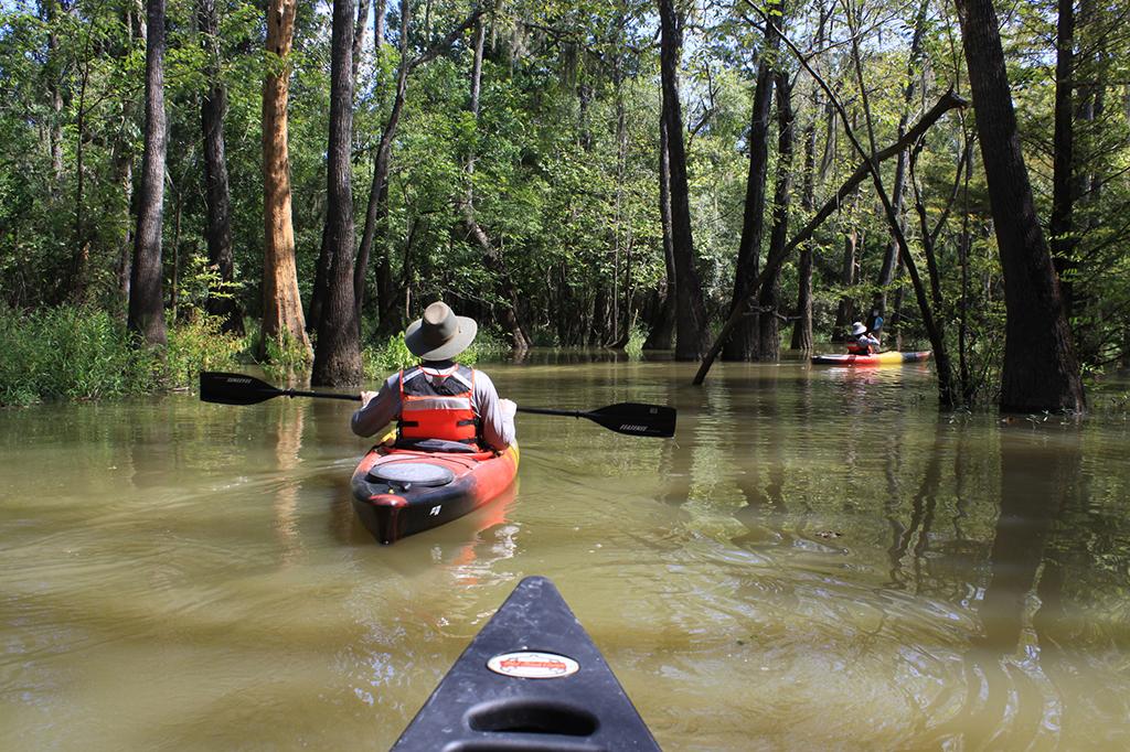 first-person view from a canoe looking toward two kayakers paddling through a forested waterway in Big Thicket National Preserve