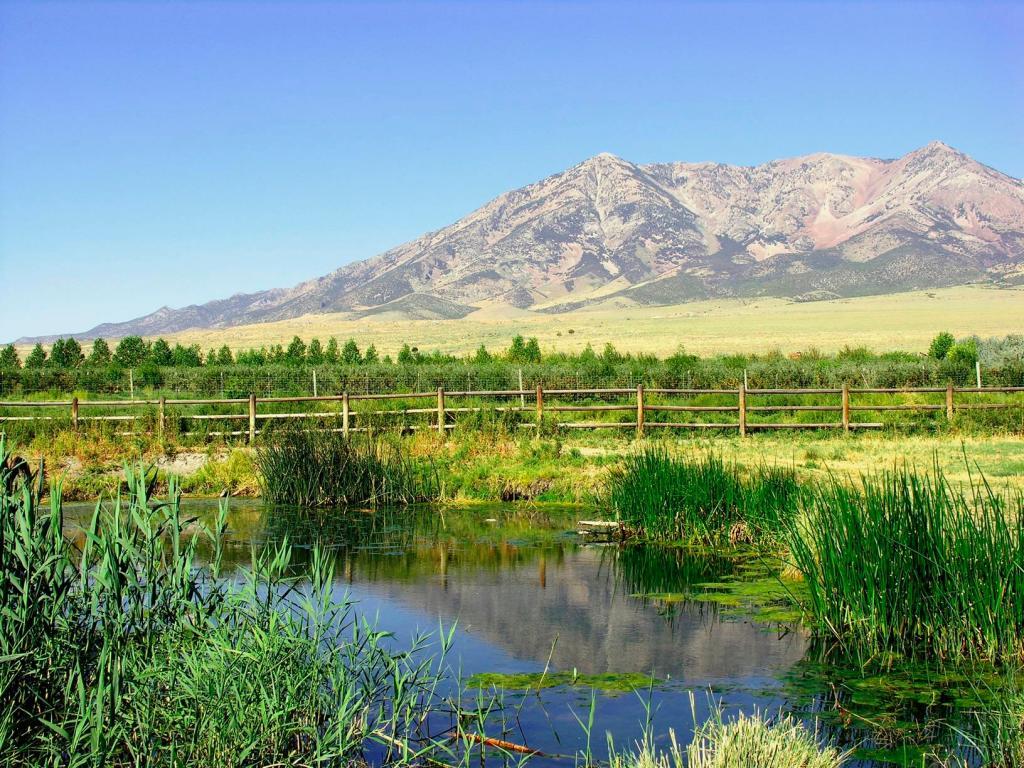 Donner Springs was a welcome sight for emigrants along what is now the California National Historic Trail.
