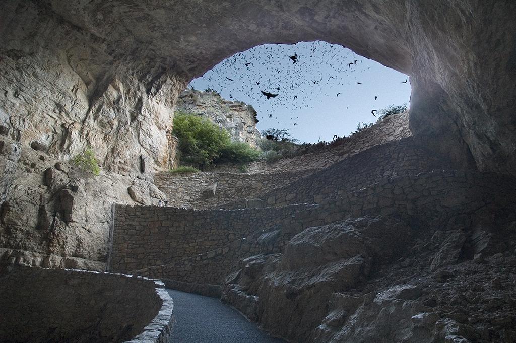 Bats In Flight, Carlsbad Caverns National Park | National Parks Traveler