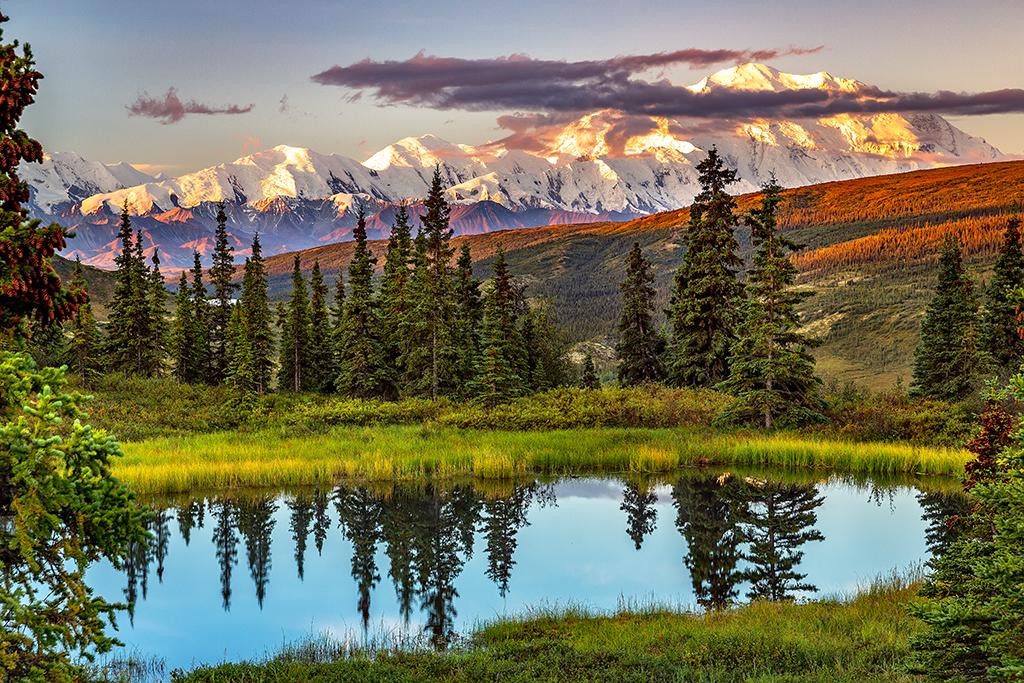 A morning view of Denali and the Alaska Range reflected in Nugget Pond, Denali National Park & Preserve, Alaska