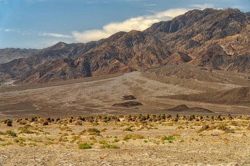 A huge alluvial fan coming down from the Panamint Mountains and arrowweed that looks like bundled corn left to dry, Death Valley National Park