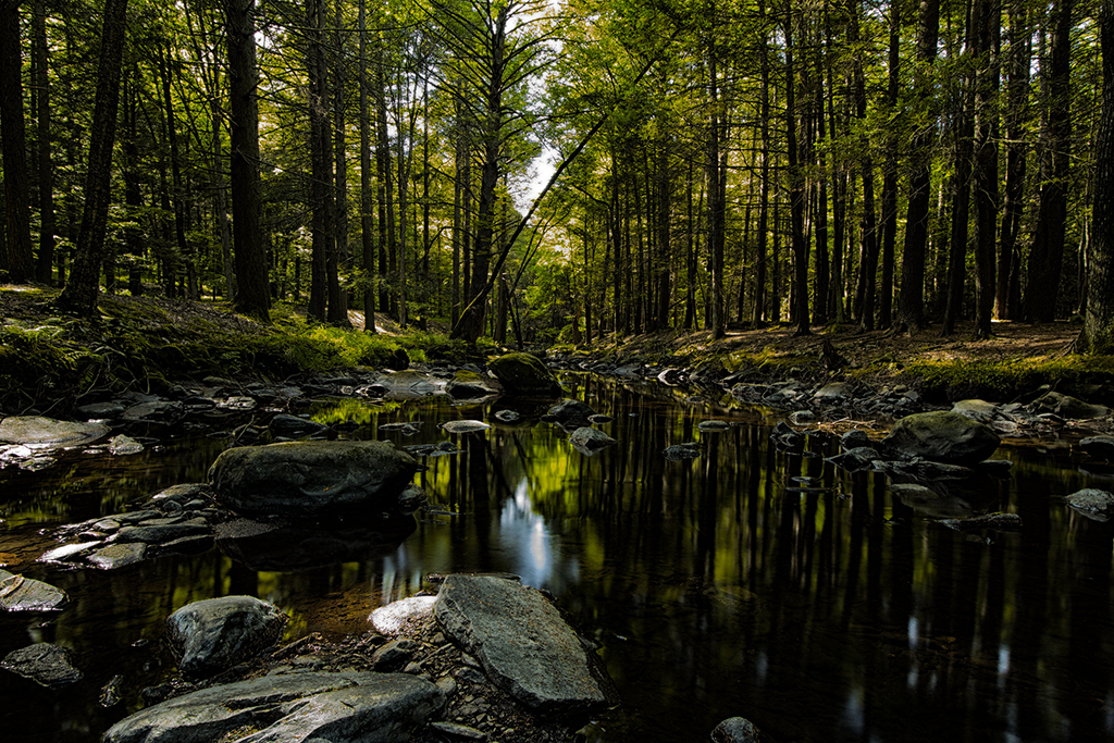 Afternoon shadows and light over the rock-strewn still water of DIngmans Creek in Delaware Water Gap National Recreation Area
