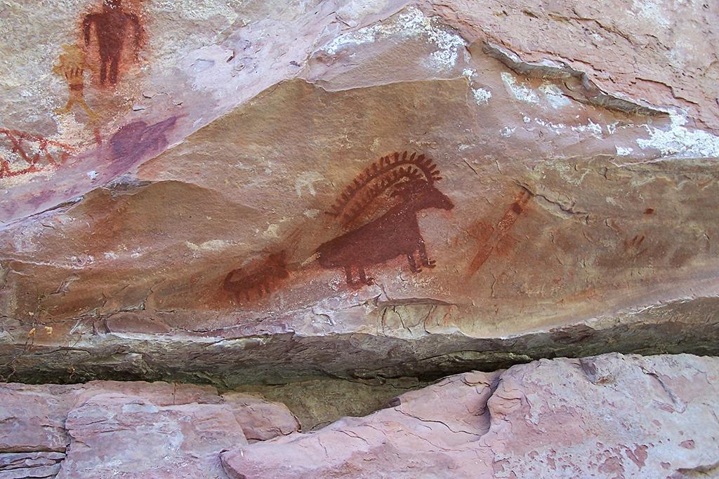 Red-colored paintings of bighorn rams on the rocks at Dinosaur National Monument