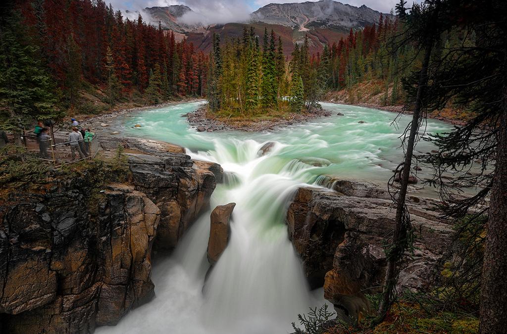 A small island of trees surrounded by cold teal-blue water that becomes Sunwapta Falls, Jasper National Park