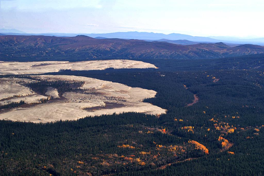 A beige expanse of sand dunes "flowing" out into the dense forest at Kobuk Valley National Park
