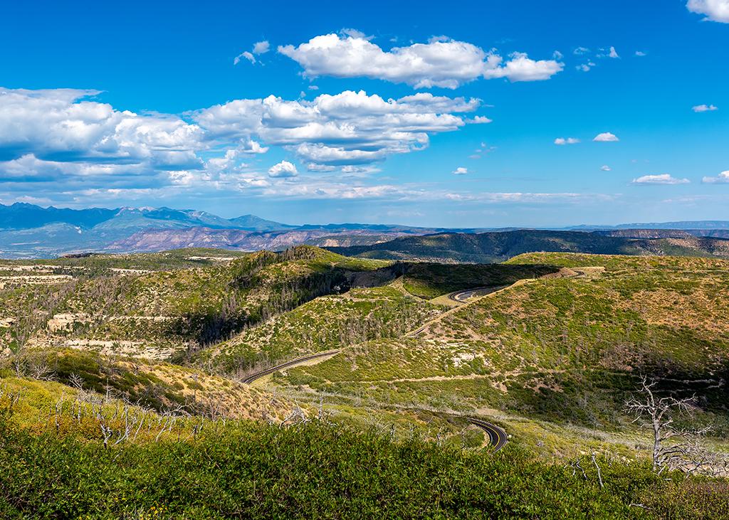 A winding road snaking over tan and green hills underneath a blue sky with puffy clouds in Mesa Verde National Park