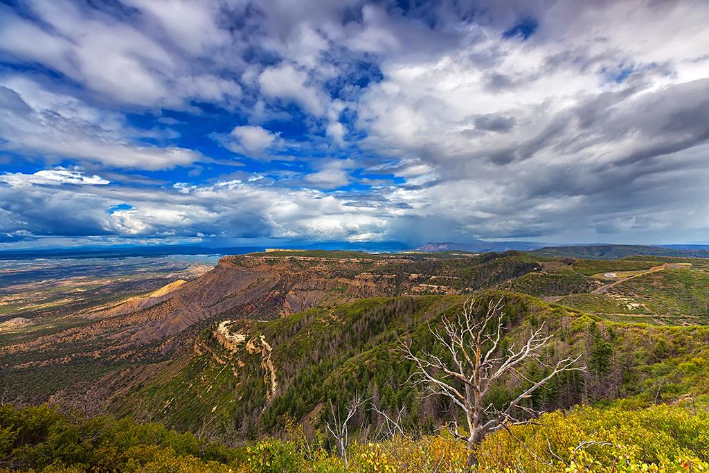 A blue sky filled with fluffy clouds over tree-covered mesas and a distant rainstorm at Mesa Verde National Park