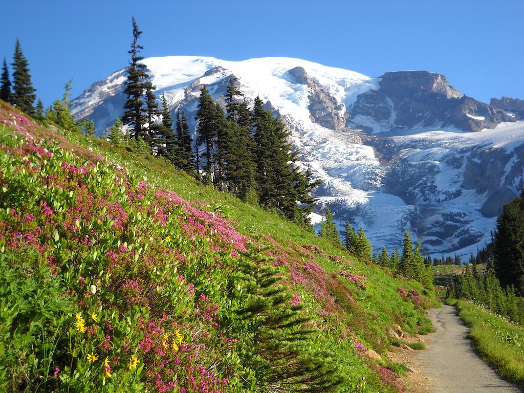 A pastel walk through Mount Rainier National Park/Gary Vogt