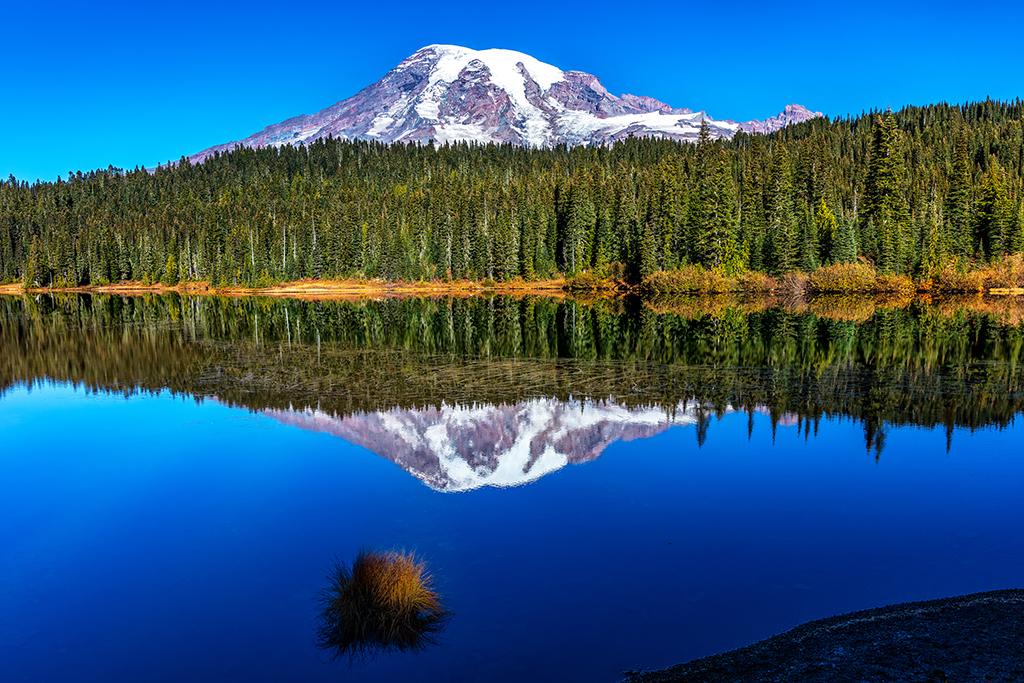 Reflections of Mount Rainier and a tree-lined shore on the smooth surface of Reflection Lake, Mount Rainier National Park, Washington