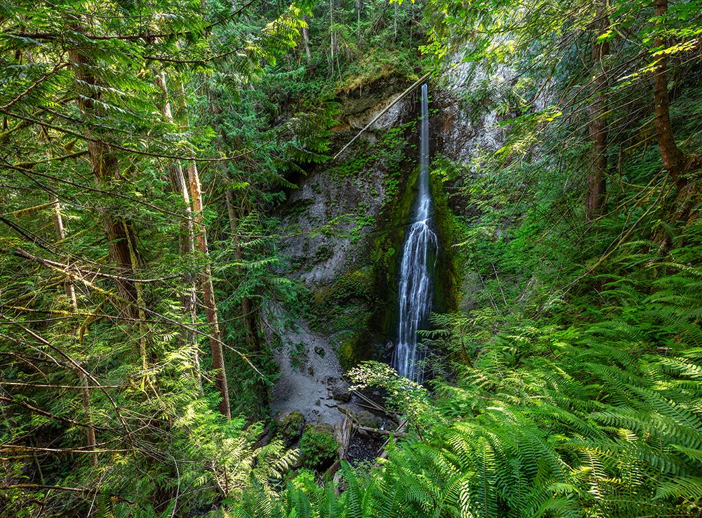 Marymere falls surrounded by bright green ferns and vegetation at Olympic National Park in Washington state