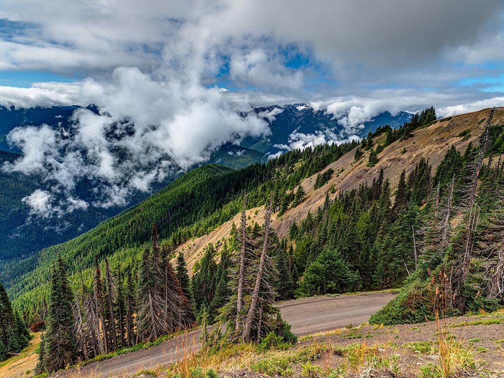 A landscape view of the mountains and Obstruction Point Road at Hurricane Ridge in Olympic National Park