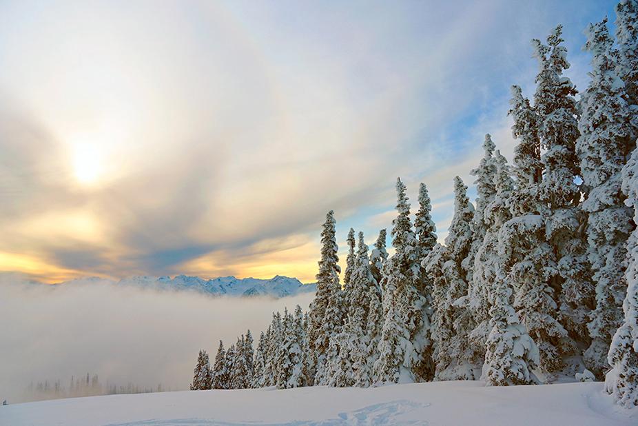 A snowy December day at Hurricane Ridge with the sun trying to shine through the clouds in Olympic National Park, Washington