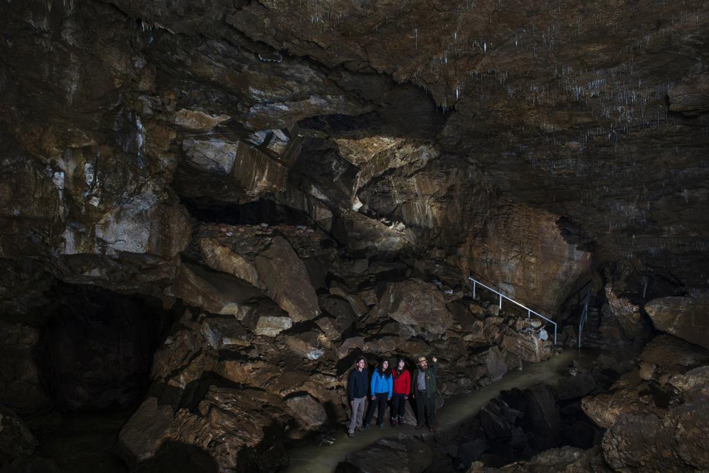 Three visitors and a park ranger standing on the trail, looking at where the ranger is pointing in the Ghost Room, Oregon Caves National Monument and Preserve