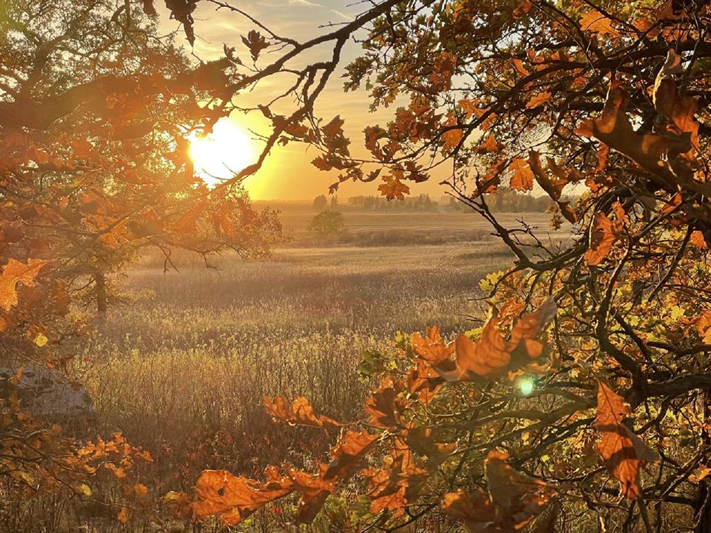 A sun-hazed landscape of bright oranges, gold, and yellow at Pipestone National Monument