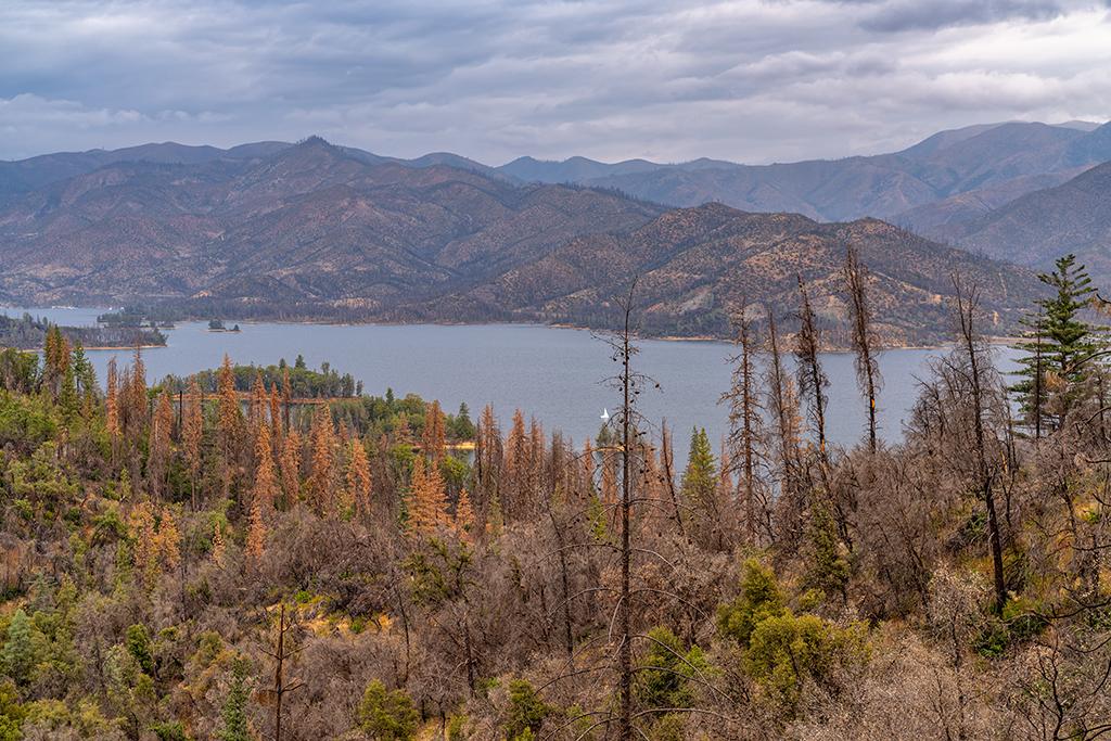 Looking down upon the autumn colors and landscape of Whiskeytown Lake at Whiskeytown National Recreation Area