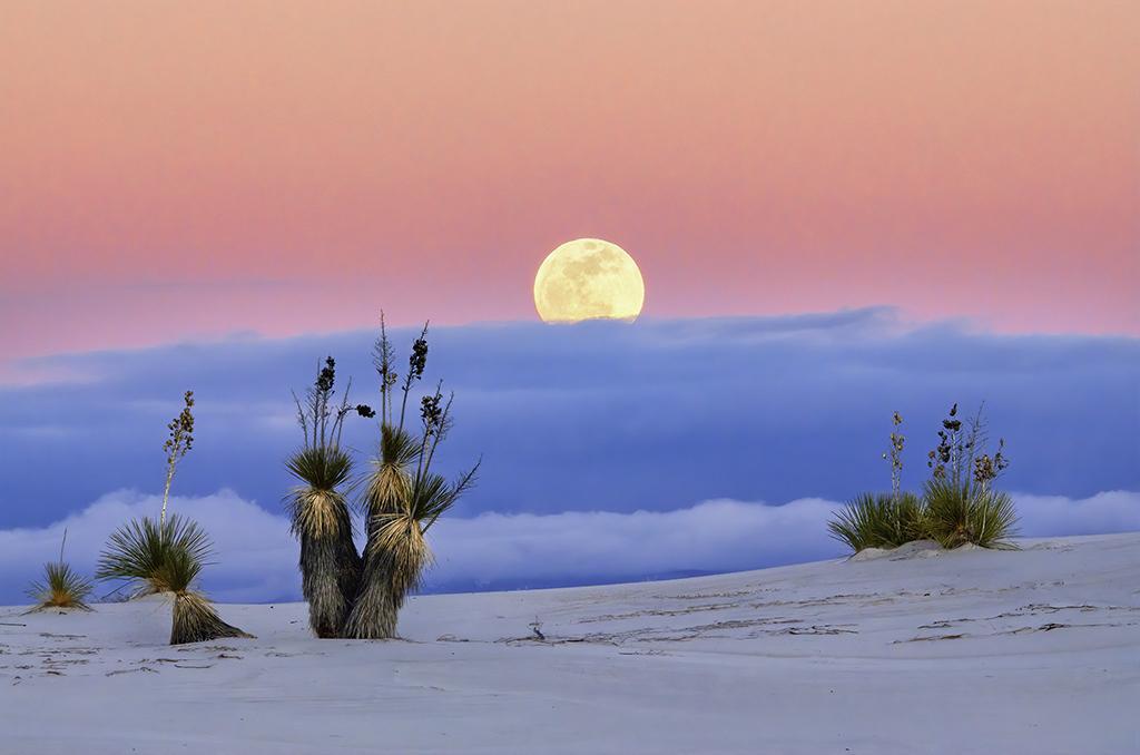 A White Sands moonrise, White Sands National Park National Parks Traveler