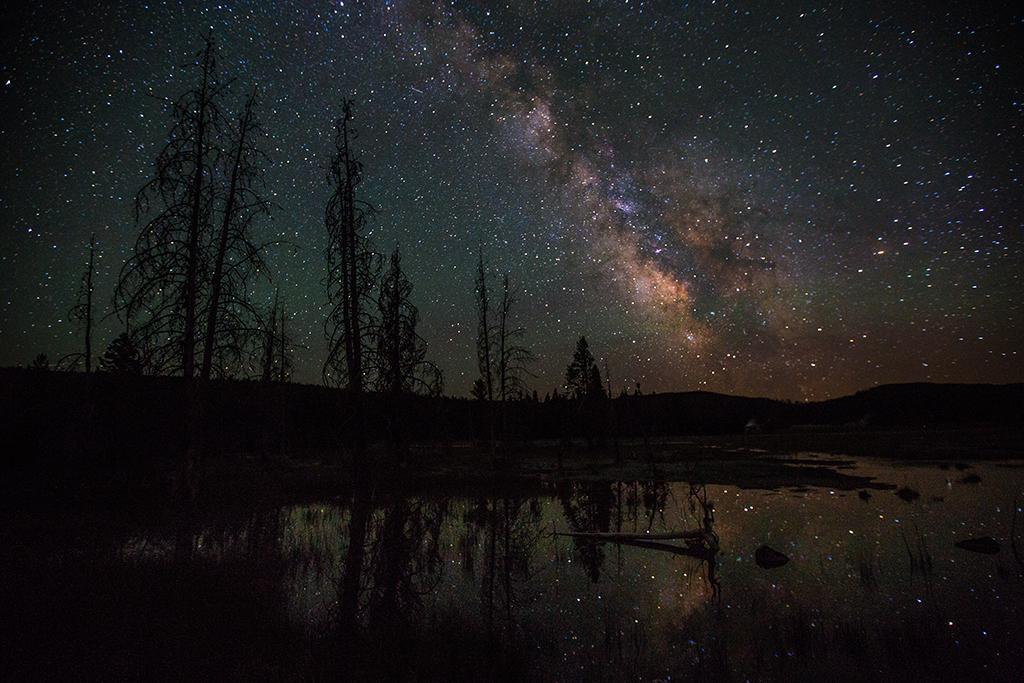 Silhouetted trees reflecting in the water of Firehole Lake with the Milky Way and stars overhead, Yellowstone National Park