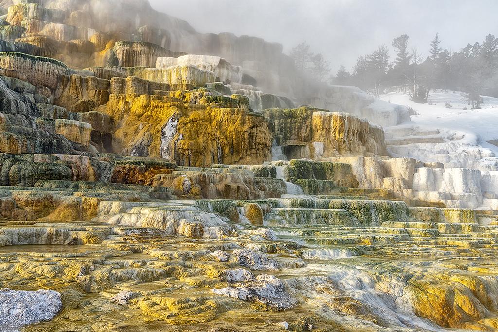 A colorful "palette" of browy, gold, yellow, and cream colored travertine terraces comprising Palette Hot Spring in Yellowstone National Park