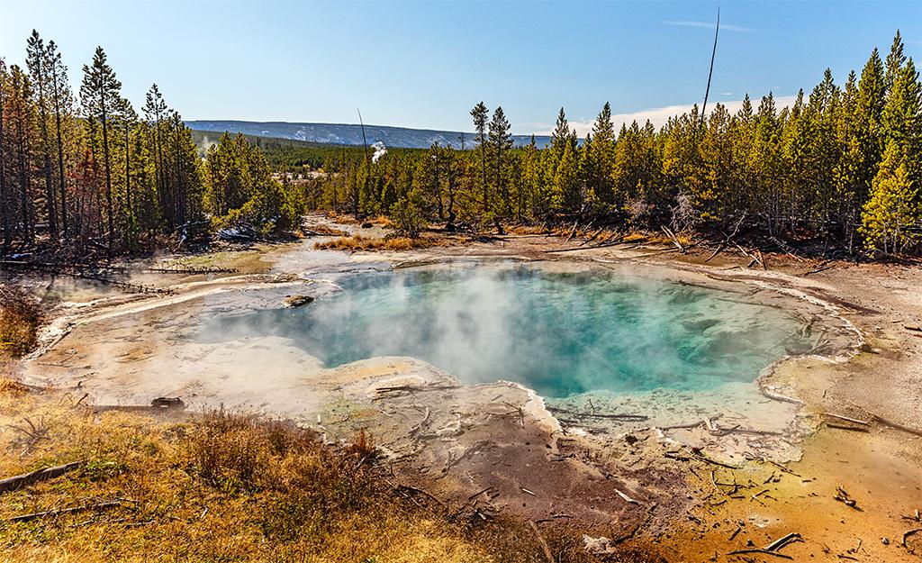 A steamy, clear, blue-green Emerald Spring surrounded by yellow-orange soil and trees in Norris Basin at Yellowstone National Park