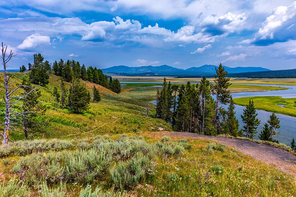 A summer landscape of rolling hills, forest, distant mountains and a river running through a part of Yellowstone National Park in Wyoming