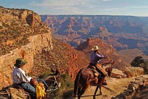 Mule riders on trail at Grand Canyon.