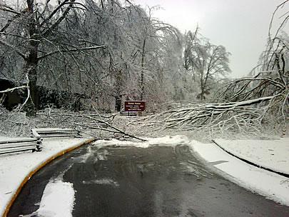Ict storm damage at the park.