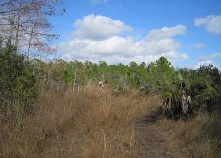 On the Florida Trail