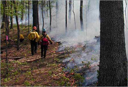 Firefighters at work.