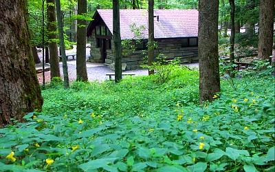 Chimneys Picnic Area, Great Smoky Mountains National Park